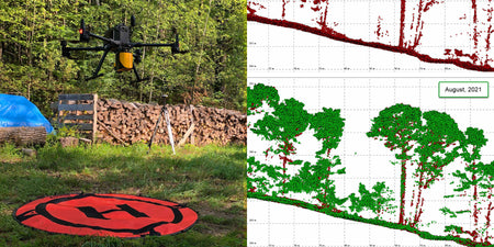 Monitoring gypsy moths with YellowScan's Mapper LiDAR payload